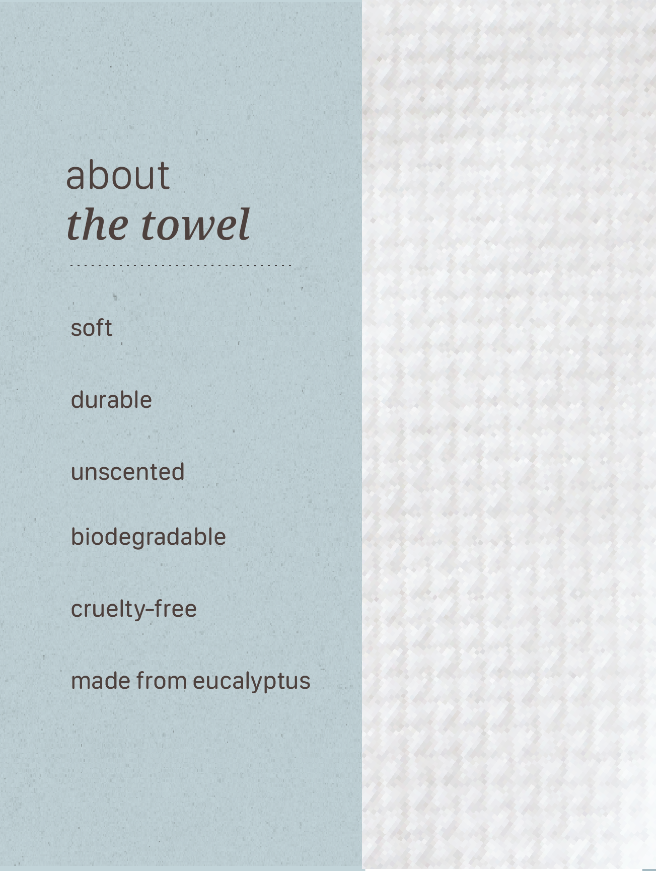 Travel Towel